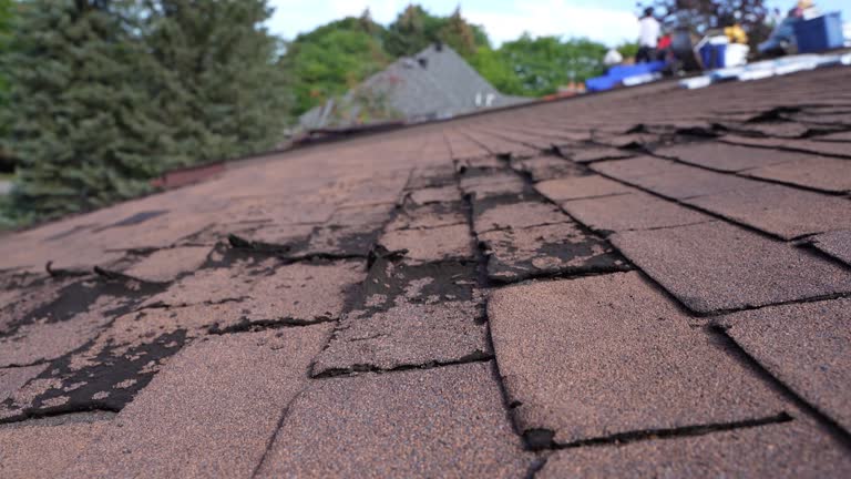 Fast & Reliable Emergency Roof Repairs in Memphis, MI